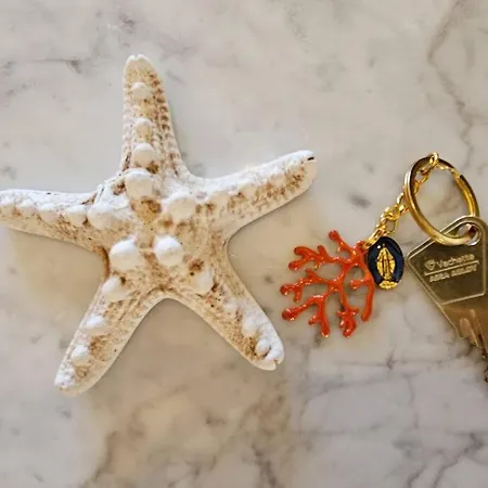 Bel Avec Piscine Cap Corse- Sisco Appartamento