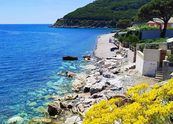 Bel Avec Piscine Cap Corse- Sisco Appartamento